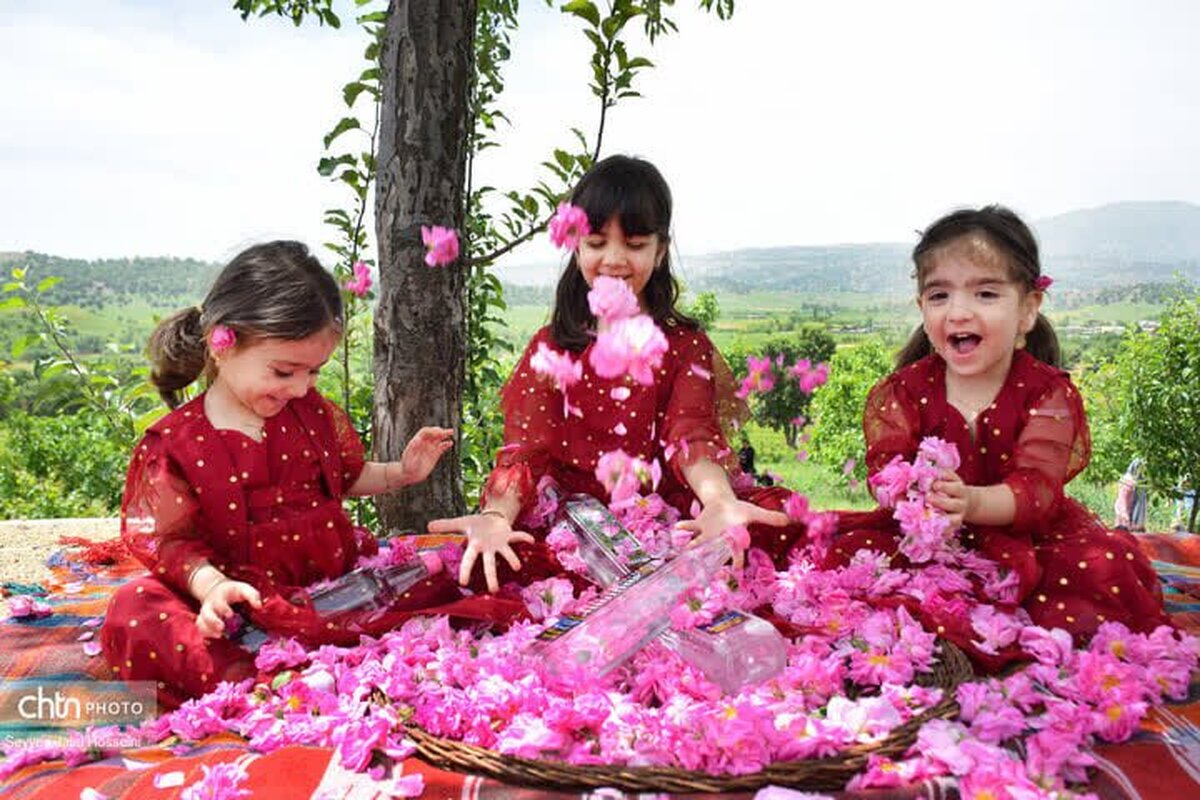 جشنواره گلاب‌گیری بانه در تقویم رویدادهای گردشگری کشور ثبت ملی شد