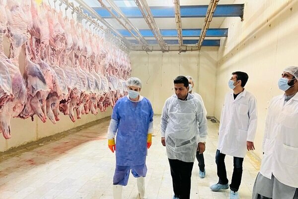 معدوم سازی ۲۶۰۰ کیلوگرم فرآورده غیرقابل مصرف در چابهار