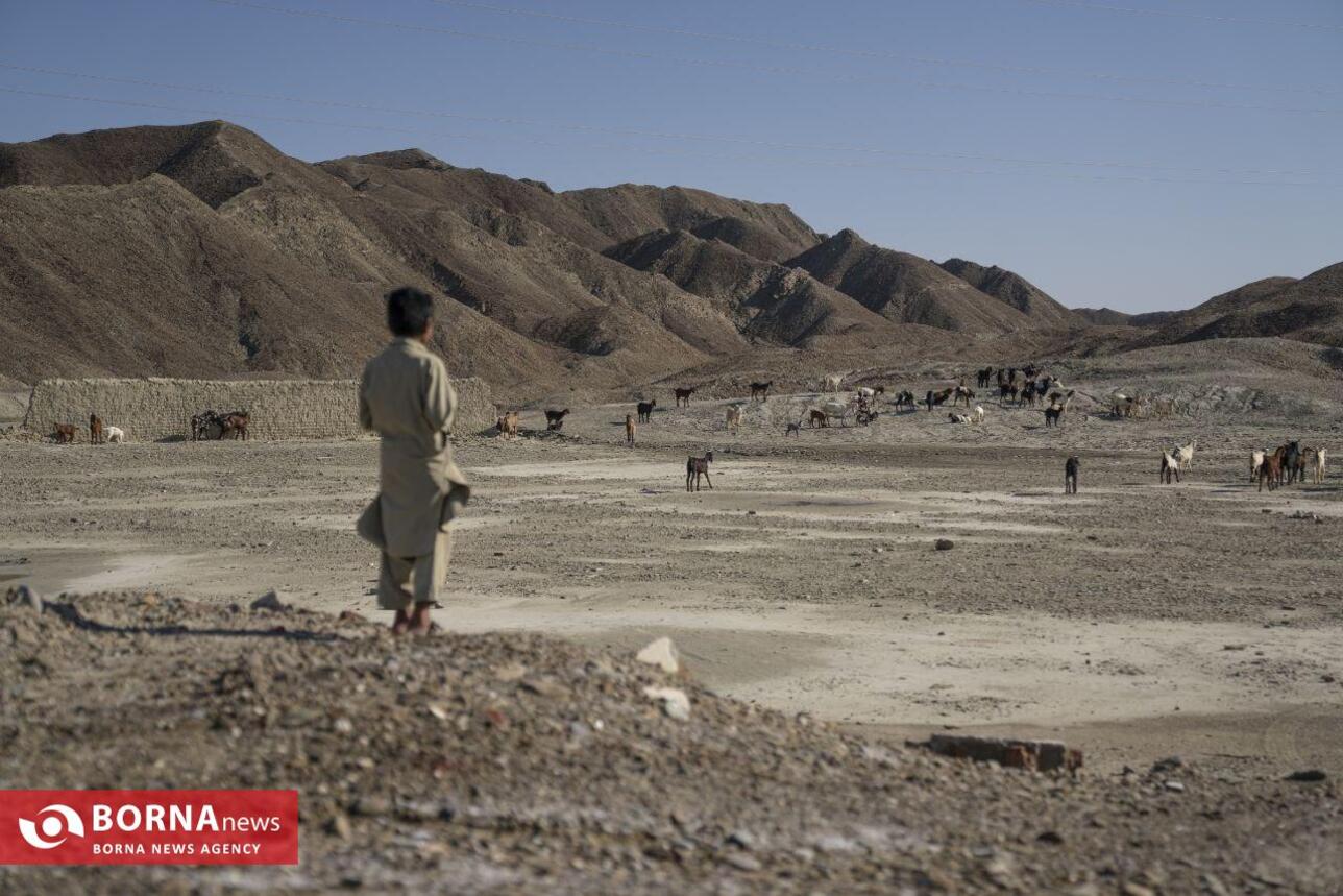 خدمت رسانی جمعیت امام رضایی‌ها به سیل زدگان سیستان و بلوچستان