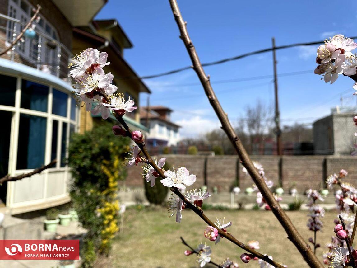 بهار در کشمیر هند