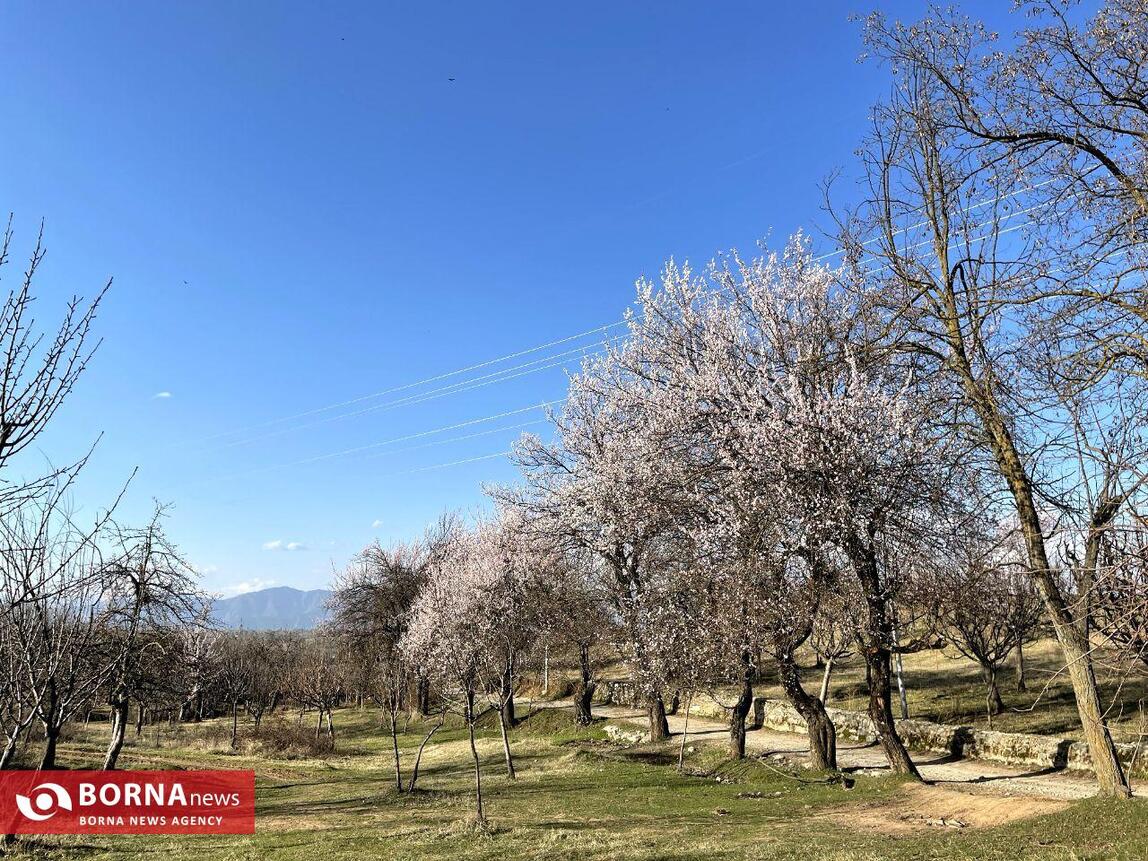 بهار در کشمیر هند