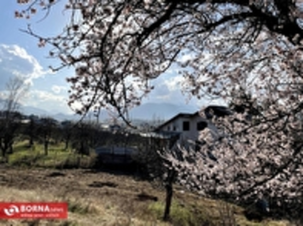 بهار در کشمیر هند