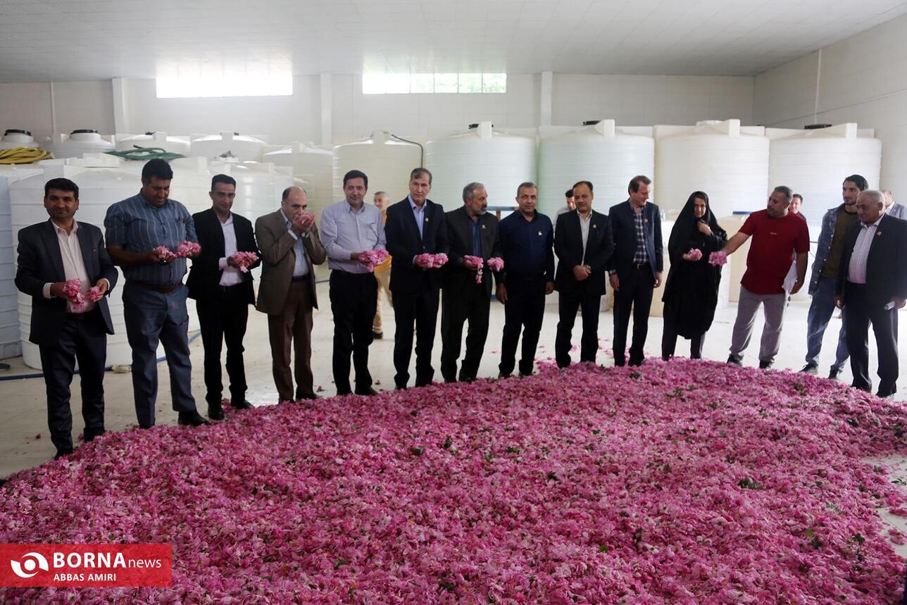 همایش بزرگداشت 8 اردیبهشت روز ملی میمند خاستگاه گل و گلاب جهان