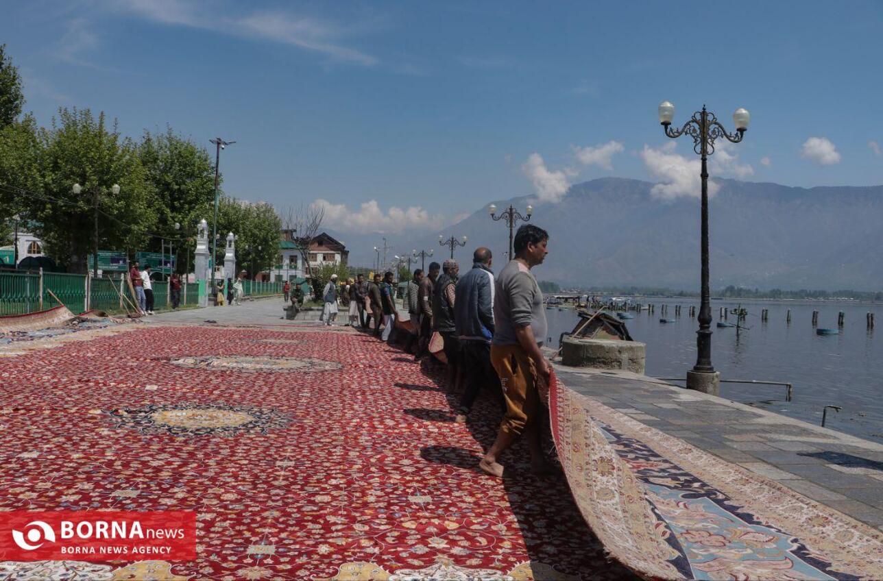 بزرگترین فرش دستباف کشمیر