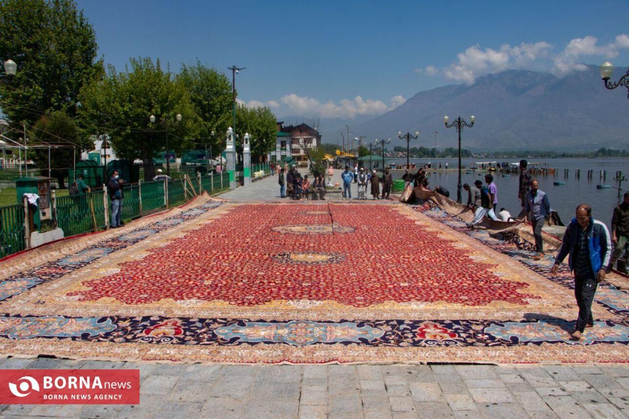 بزرگترین فرش دستباف کشمیر