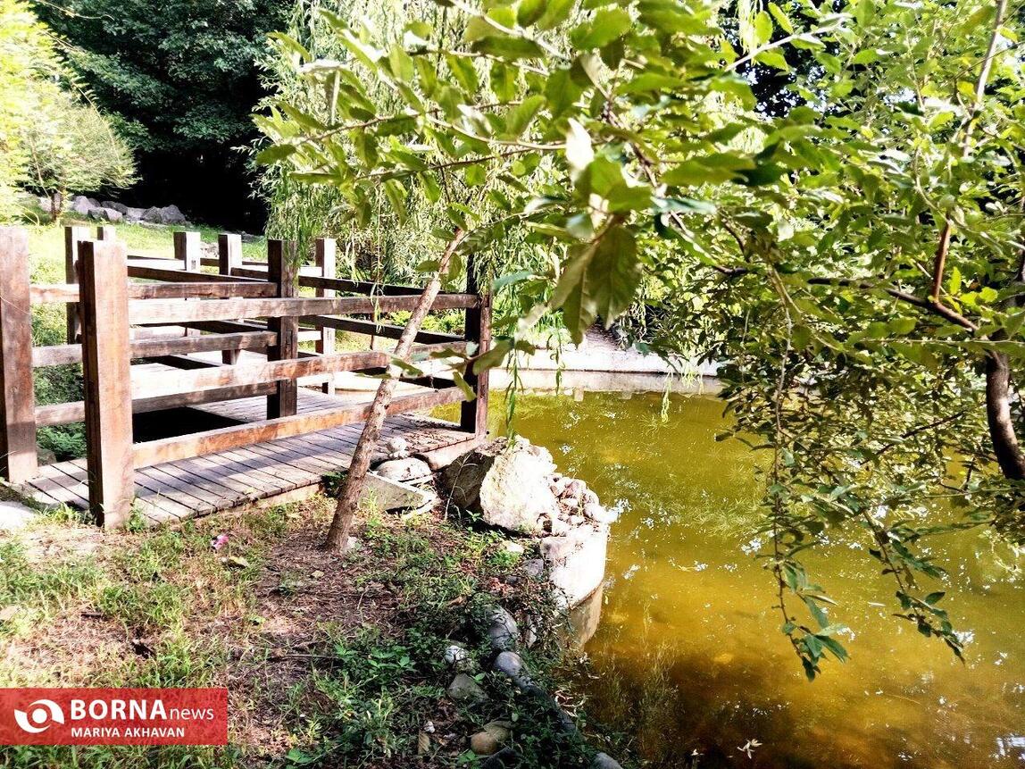 طبیعت زیبای گیلان