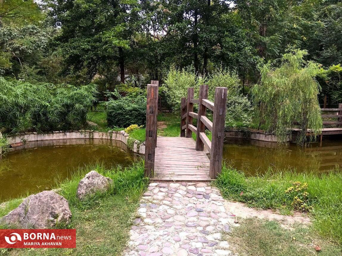 طبیعت زیبای گیلان