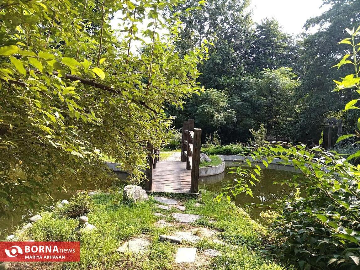 طبیعت زیبای گیلان