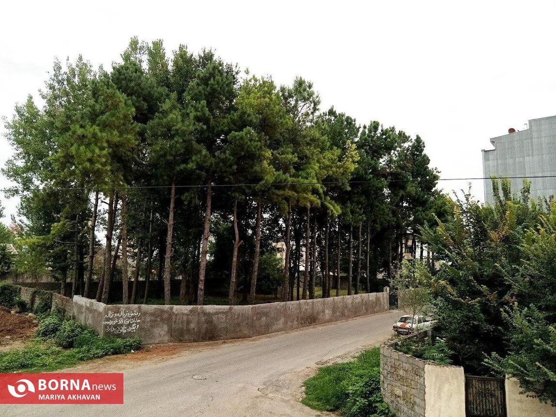 طبیعت زیبای گیلان