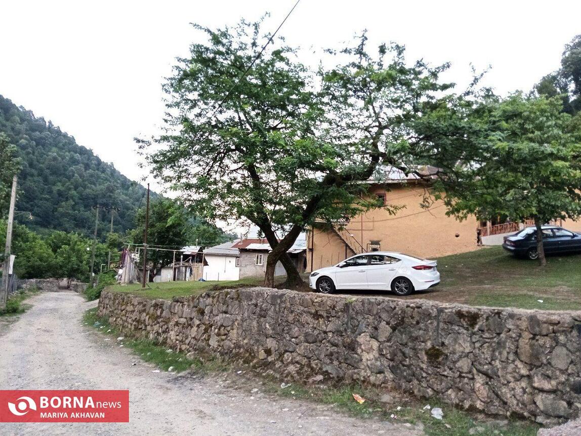 طبیعت زیبای گیلان