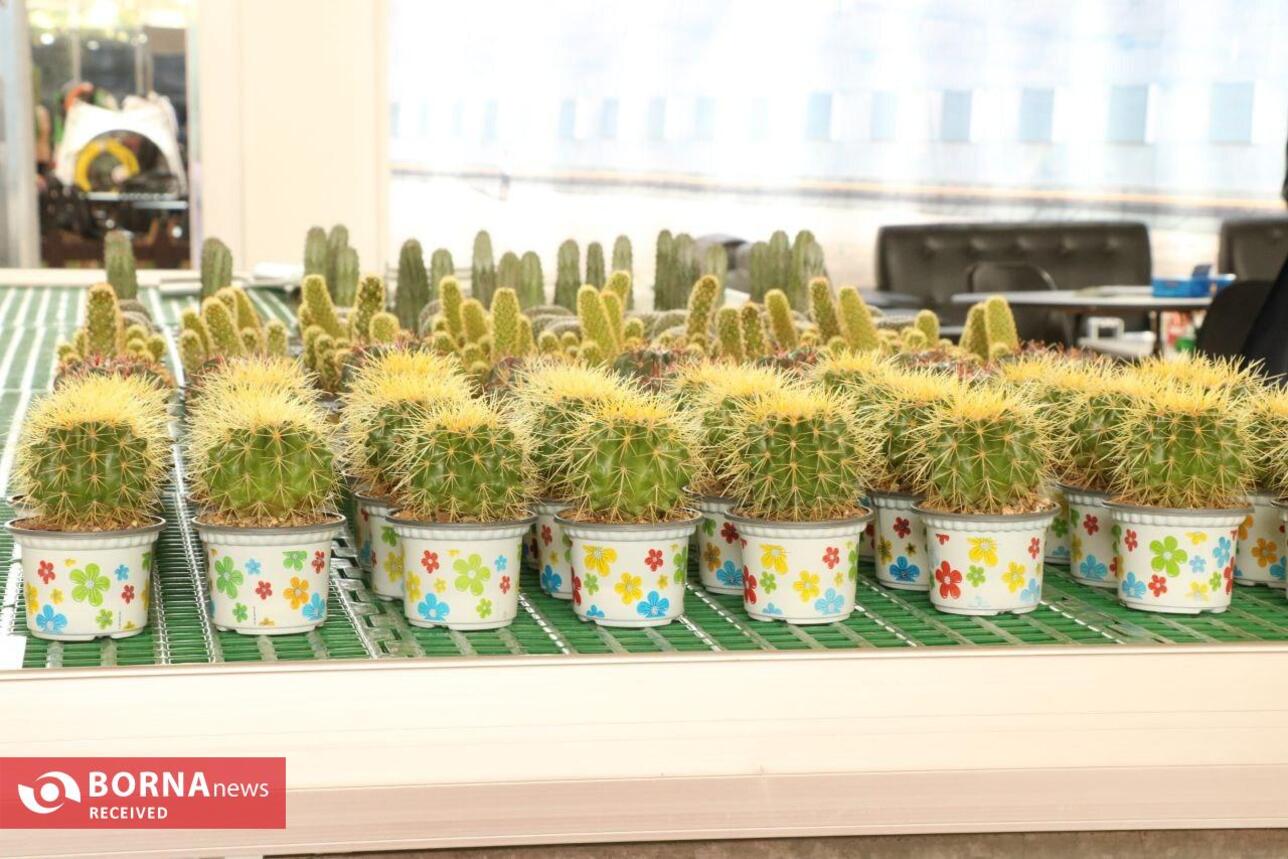 آغاز هفتمین نمایشگاه بین‌المللی کشاورزی آیفارم