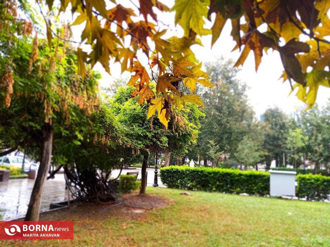 چشم انداز پاییز در رشت_ مهرماه ۱۴۰۳