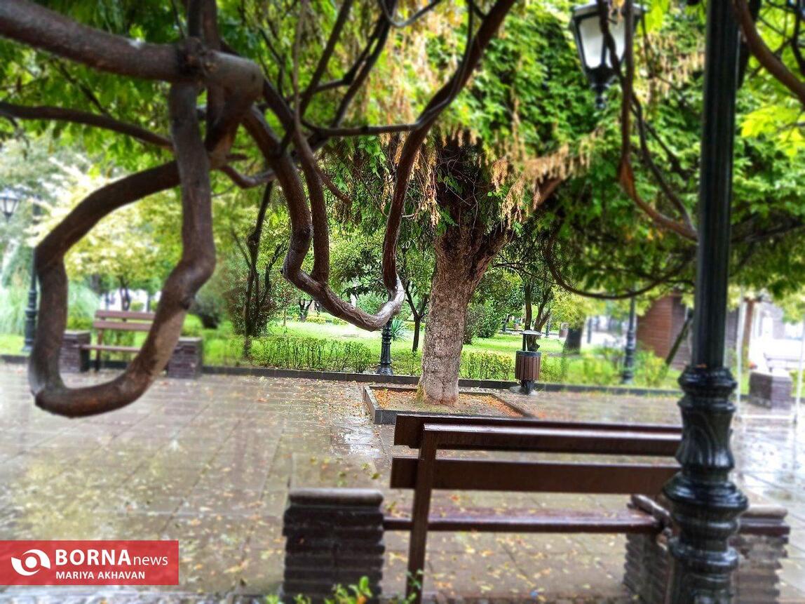 چشم انداز پاییز در رشت_ مهرماه ۱۴۰۳