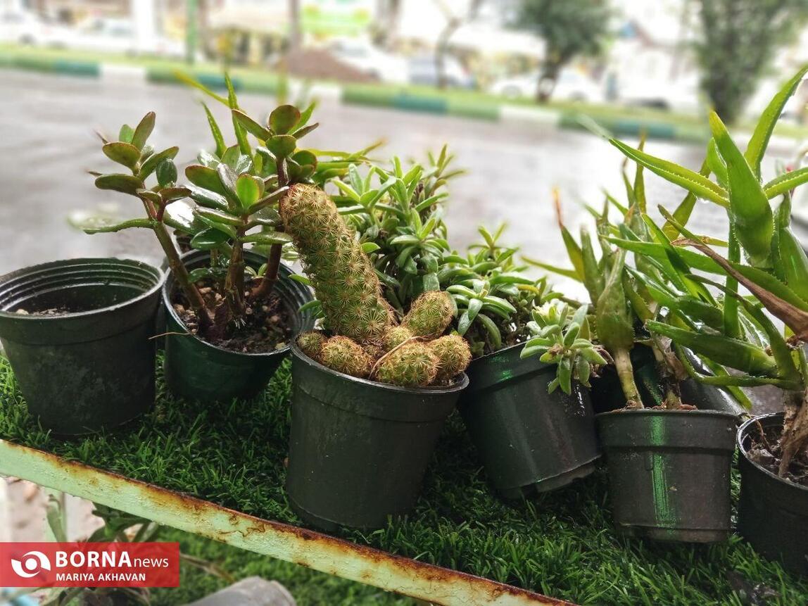 چشم انداز پاییز در رشت_ مهرماه ۱۴۰۳