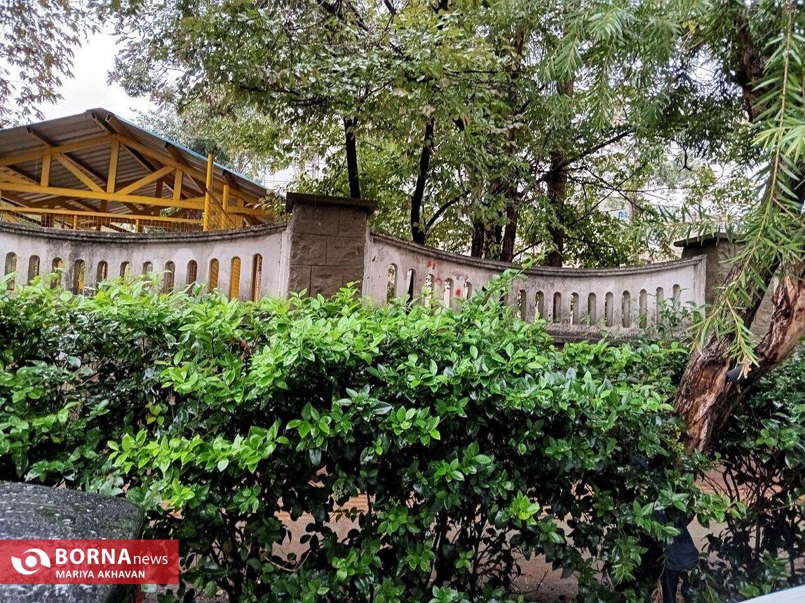 چشم انداز پاییز در رشت_ مهرماه ۱۴۰۳