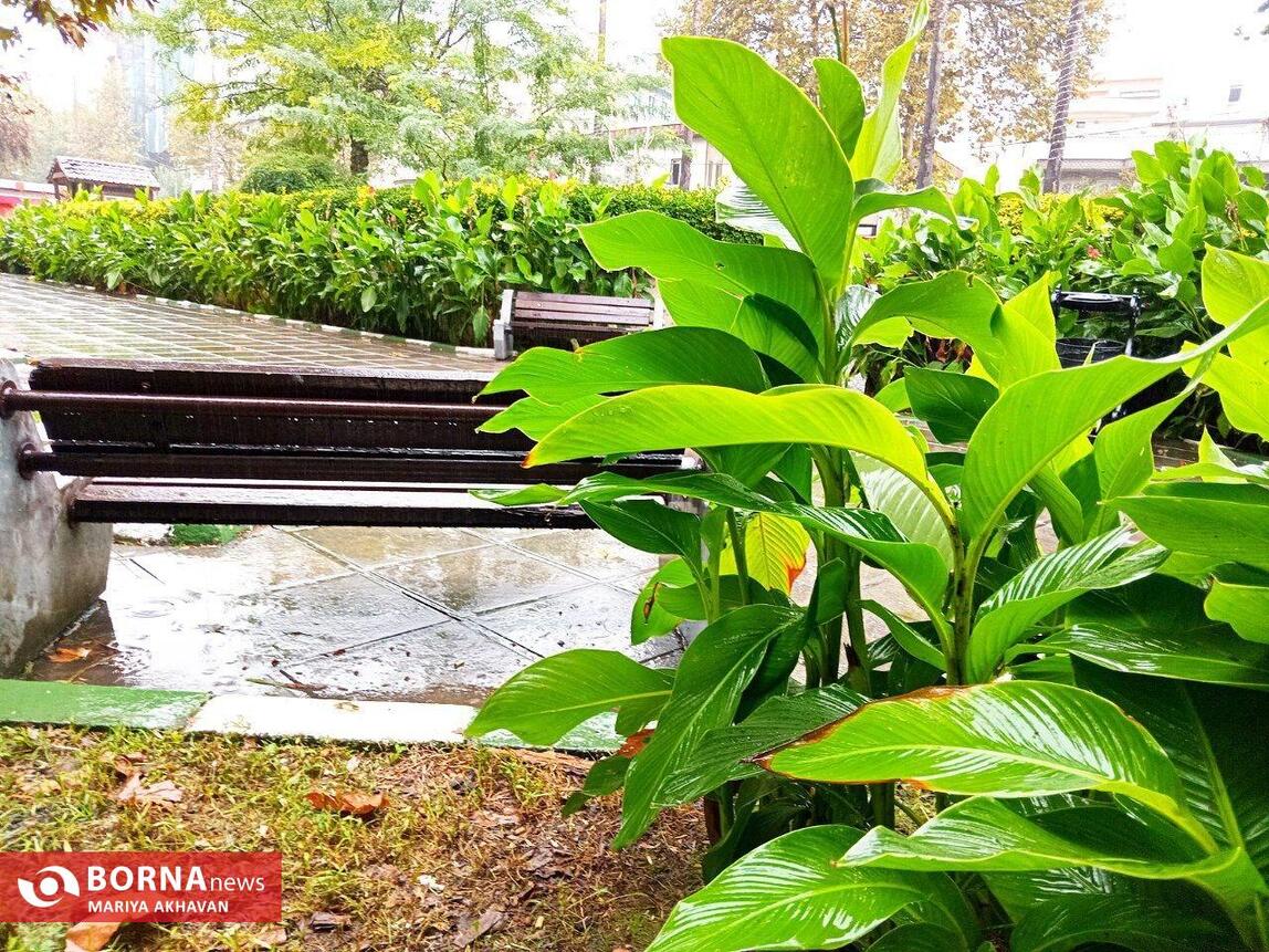 چشم انداز پاییز در رشت_ مهرماه ۱۴۰۳