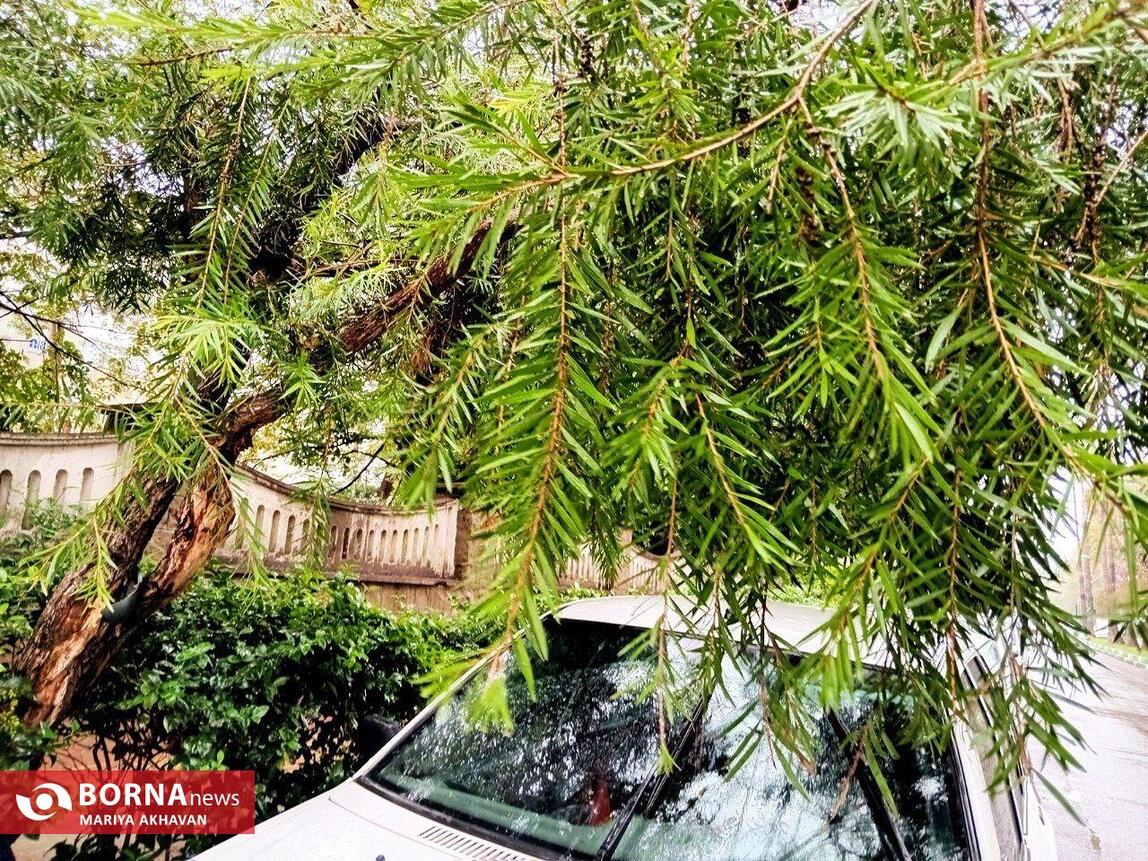 چشم انداز پاییز در رشت_ مهرماه ۱۴۰۳