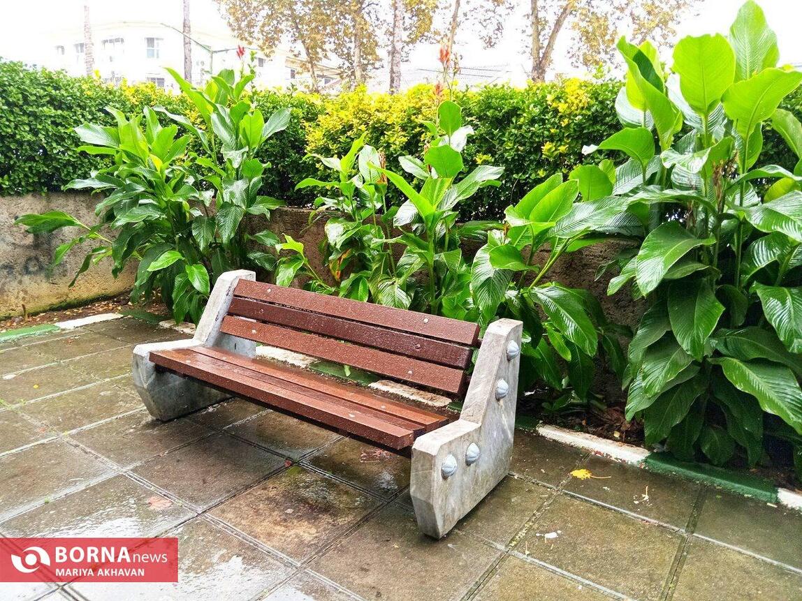 چشم انداز پاییز در رشت_ مهرماه ۱۴۰۳