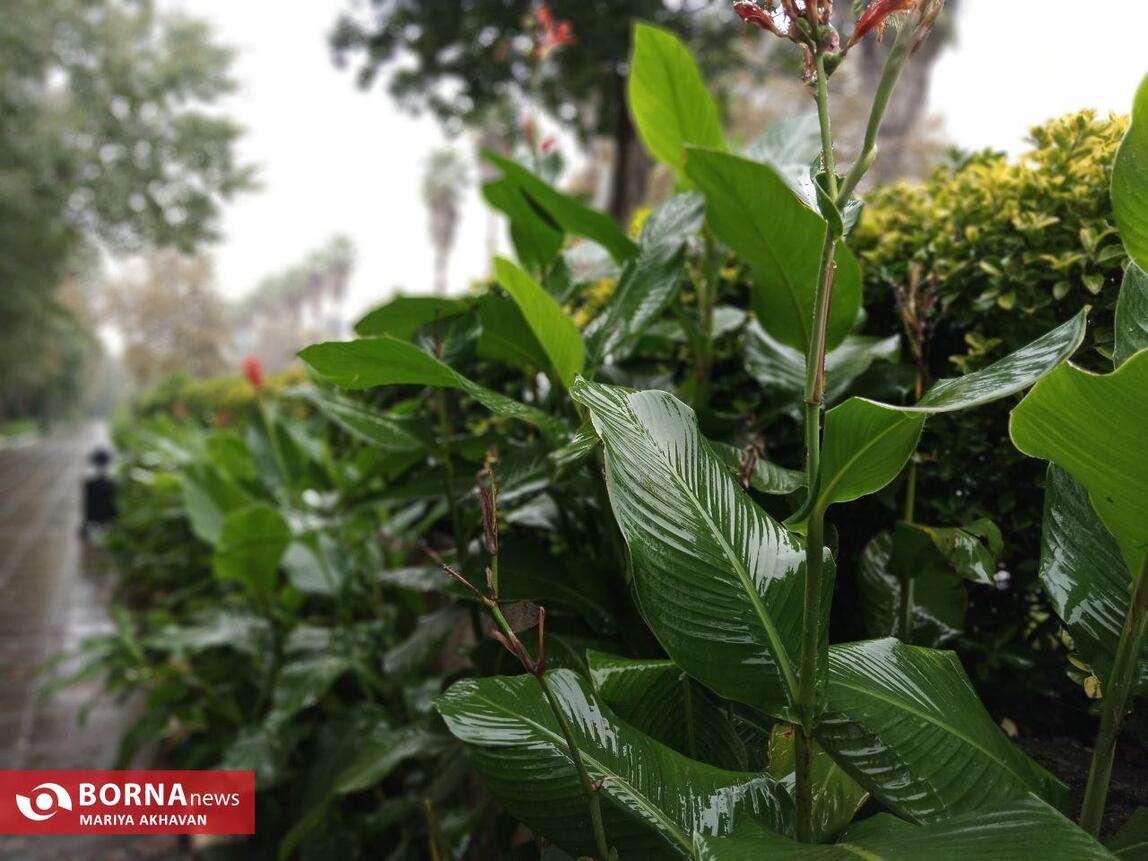 چشم انداز پاییز در رشت_ مهرماه ۱۴۰۳