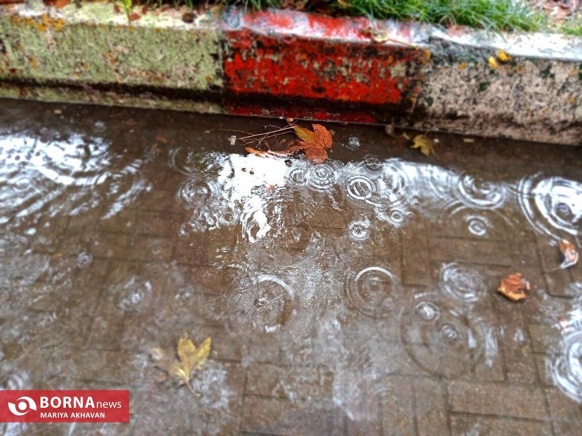 چشم انداز پاییز در رشت_ مهرماه ۱۴۰۳