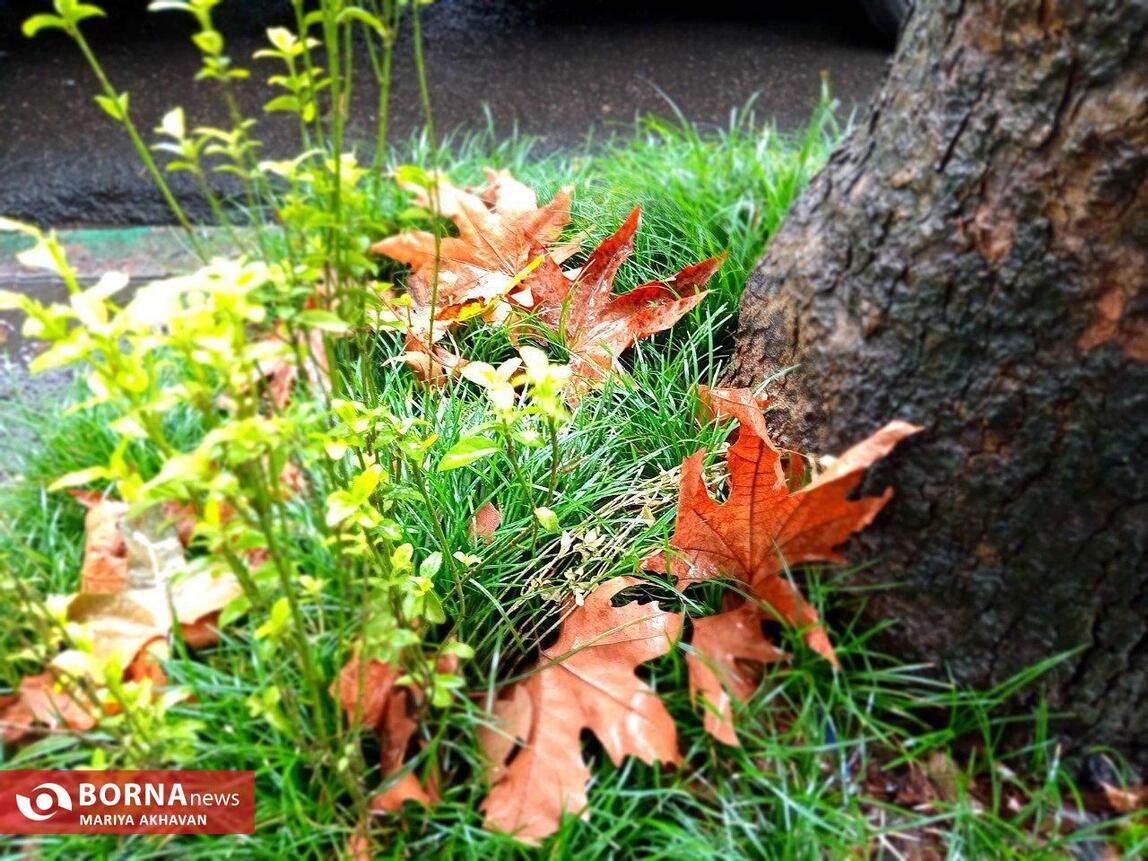 چشم انداز پاییز در رشت_ مهرماه ۱۴۰۳