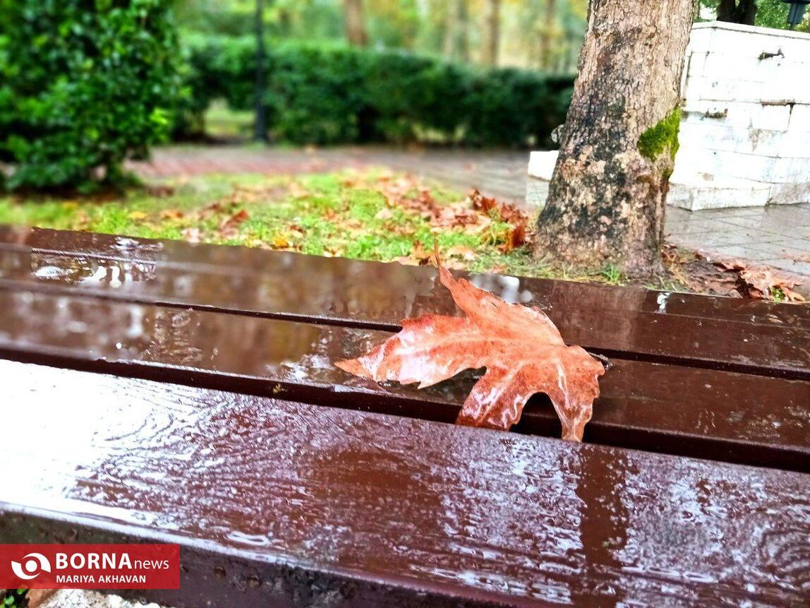 چشم انداز پاییز در رشت_ مهرماه ۱۴۰۳