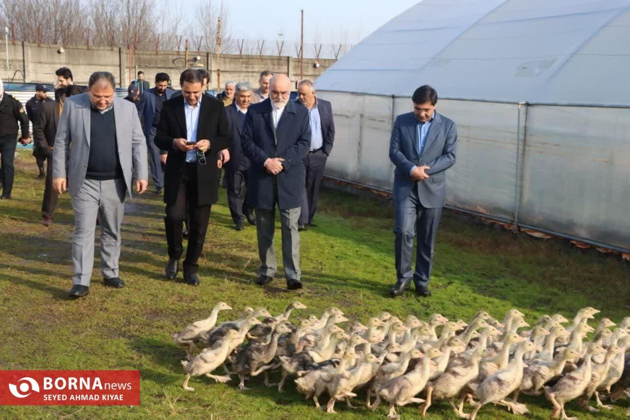 سفر معاون قوه قضاییه به لاهیجان