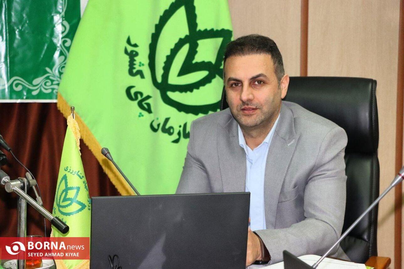 نشست خبری رئیس سازمان چای کشور