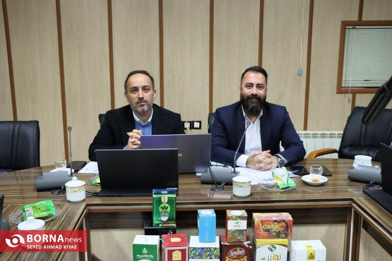 نشست خبری رئیس سازمان چای کشور