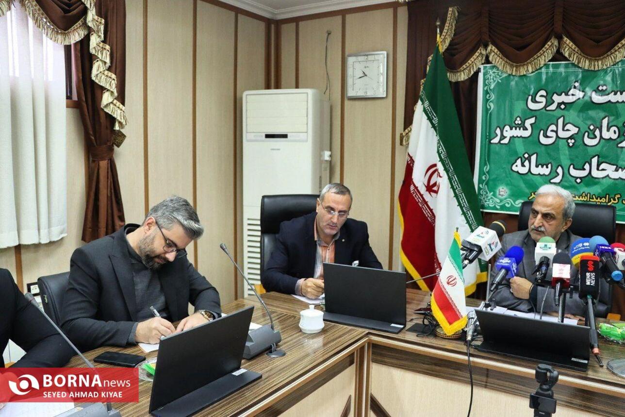 نشست خبری رئیس سازمان چای کشور