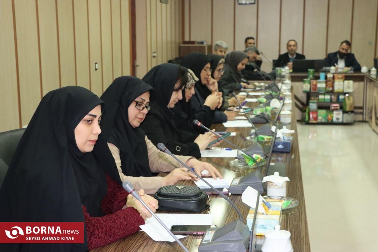 نشست خبری رئیس سازمان چای کشور