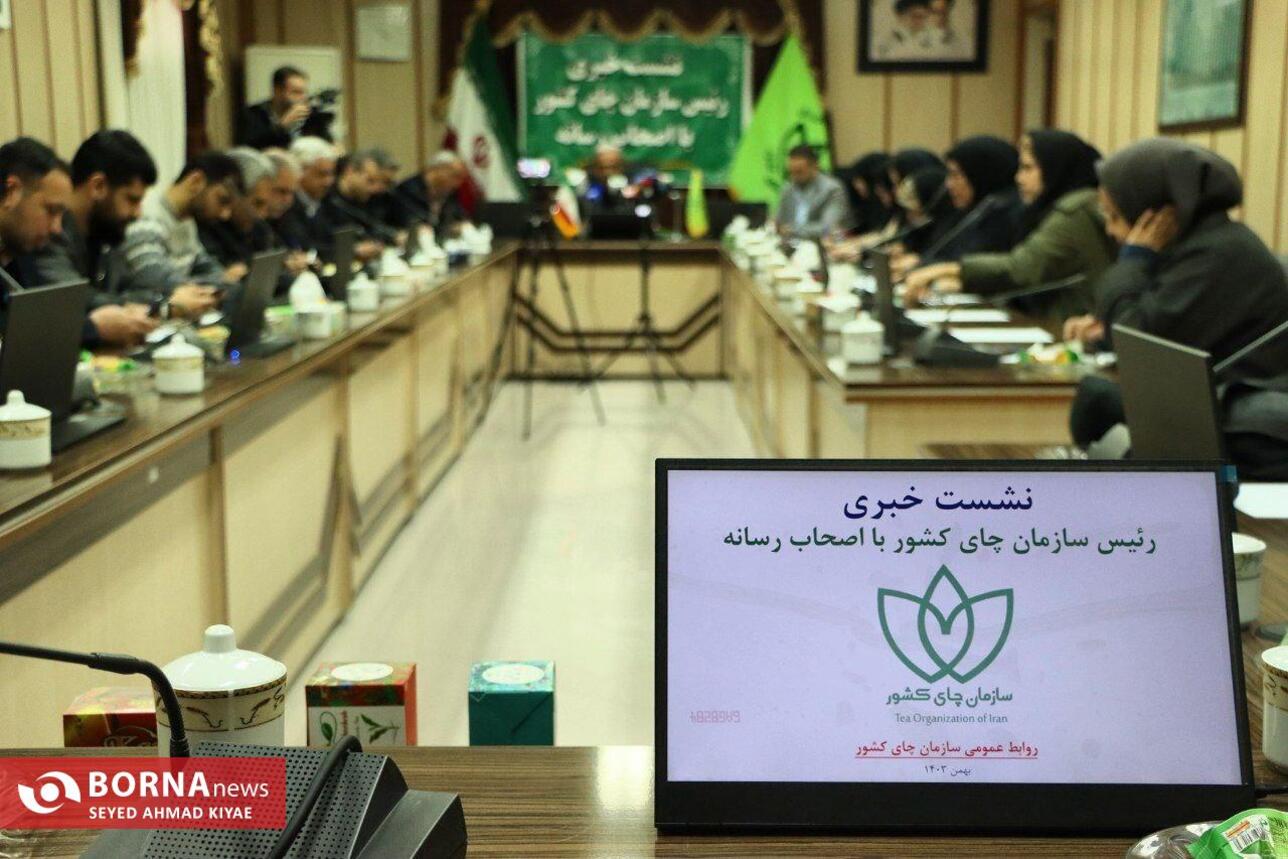 نشست خبری رئیس سازمان چای کشور