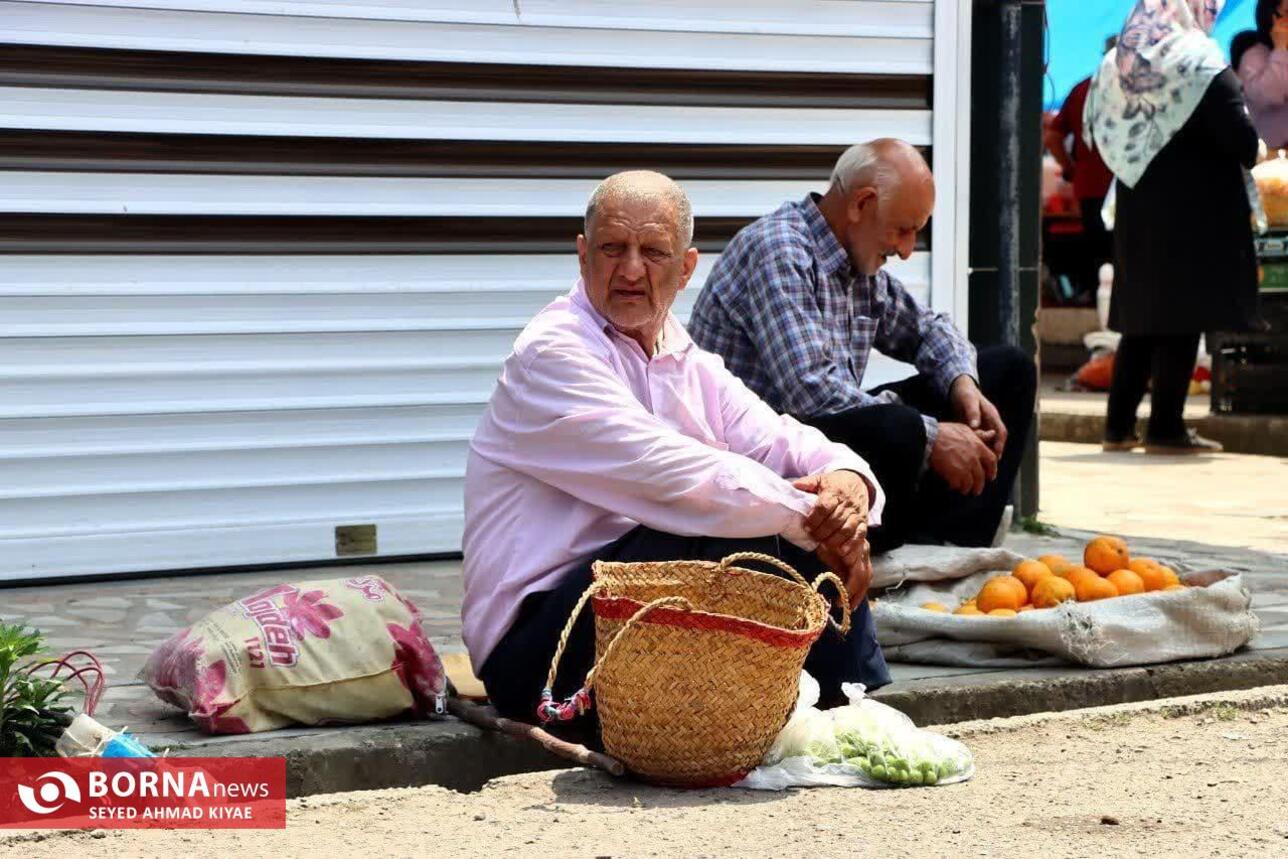 برگزاری تور عکاسی بازار لنگرود