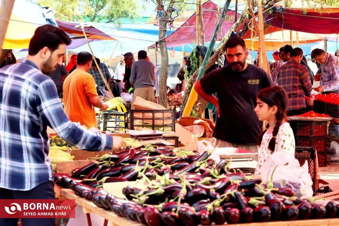 برگزاری تور عکاسی بازار لنگرود