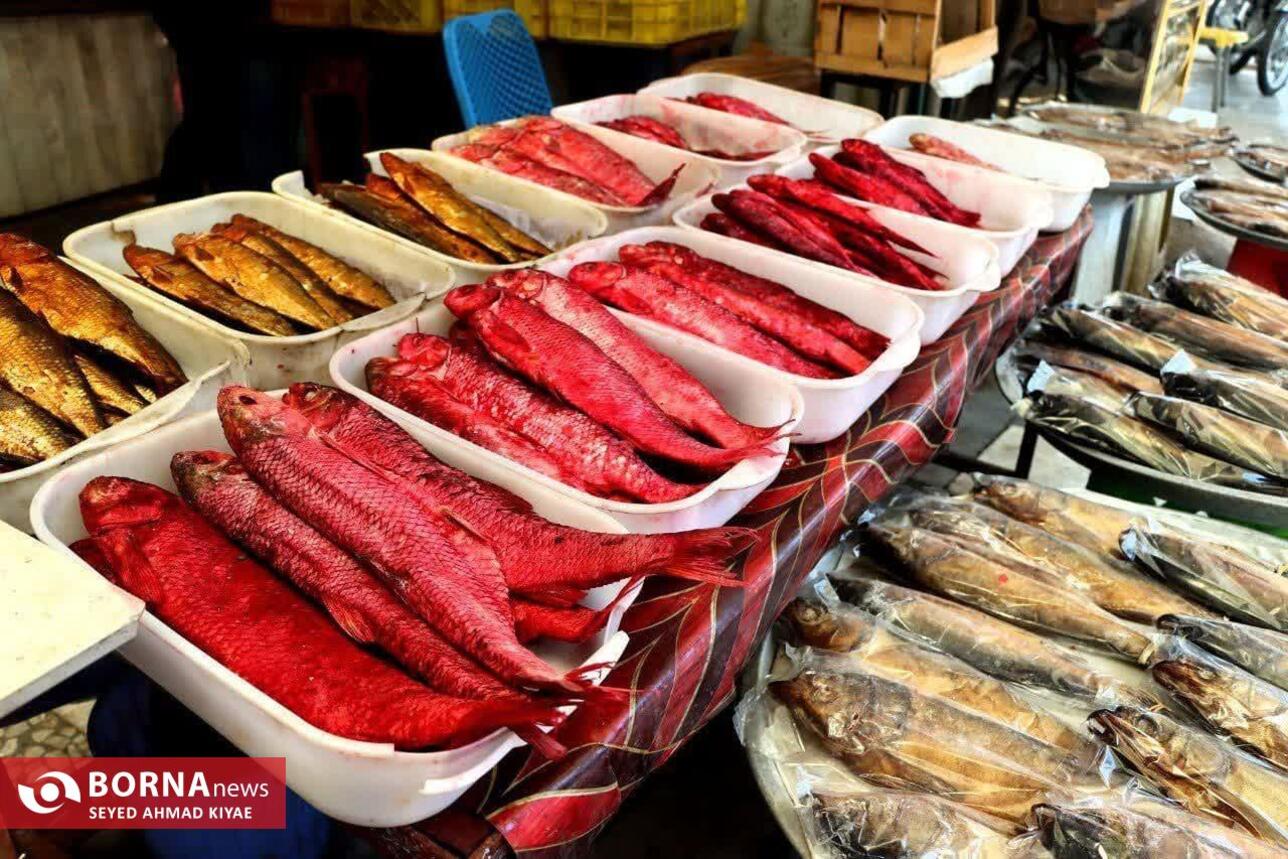 برگزاری تور عکاسی بازار لنگرود