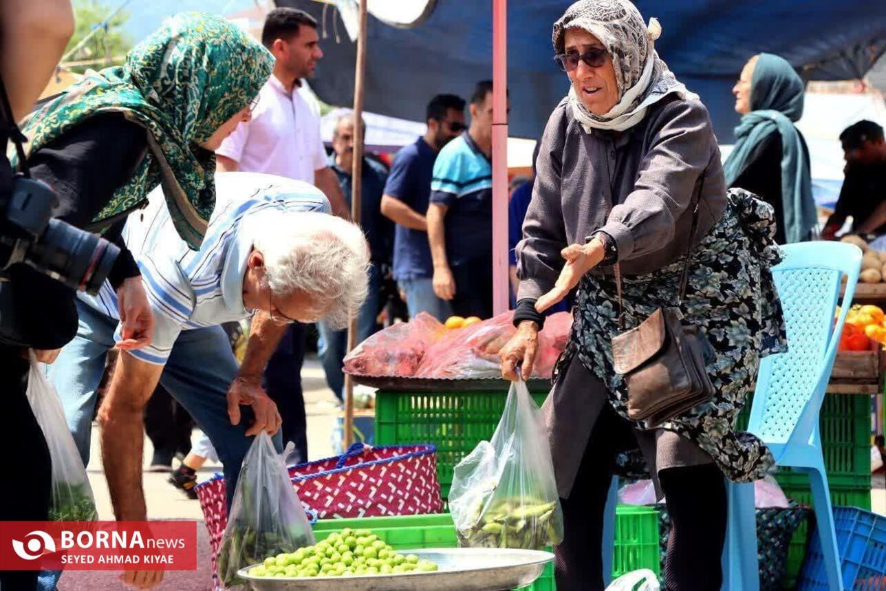 برگزاری تور عکاسی بازار لنگرود