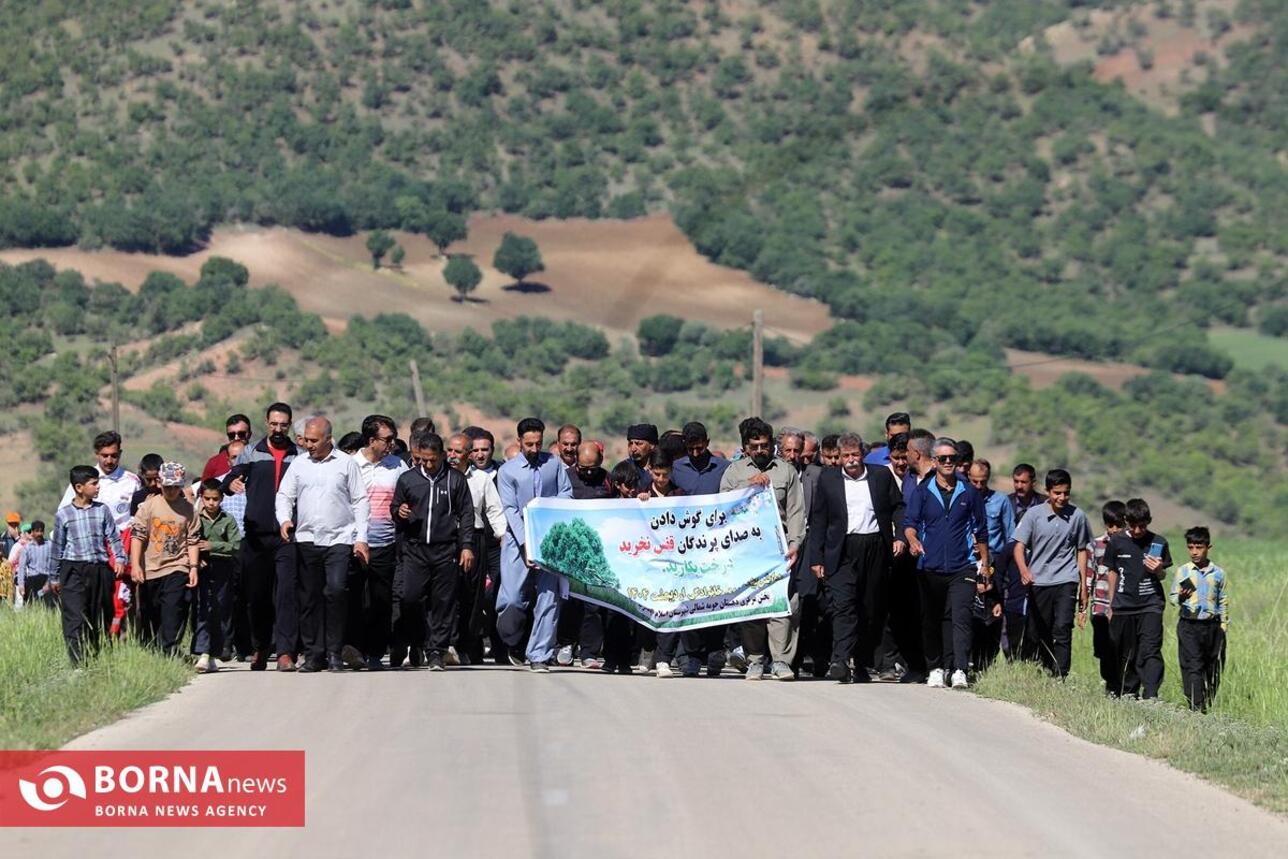 مراسم پیاده روی روستایی در کرمانشاه