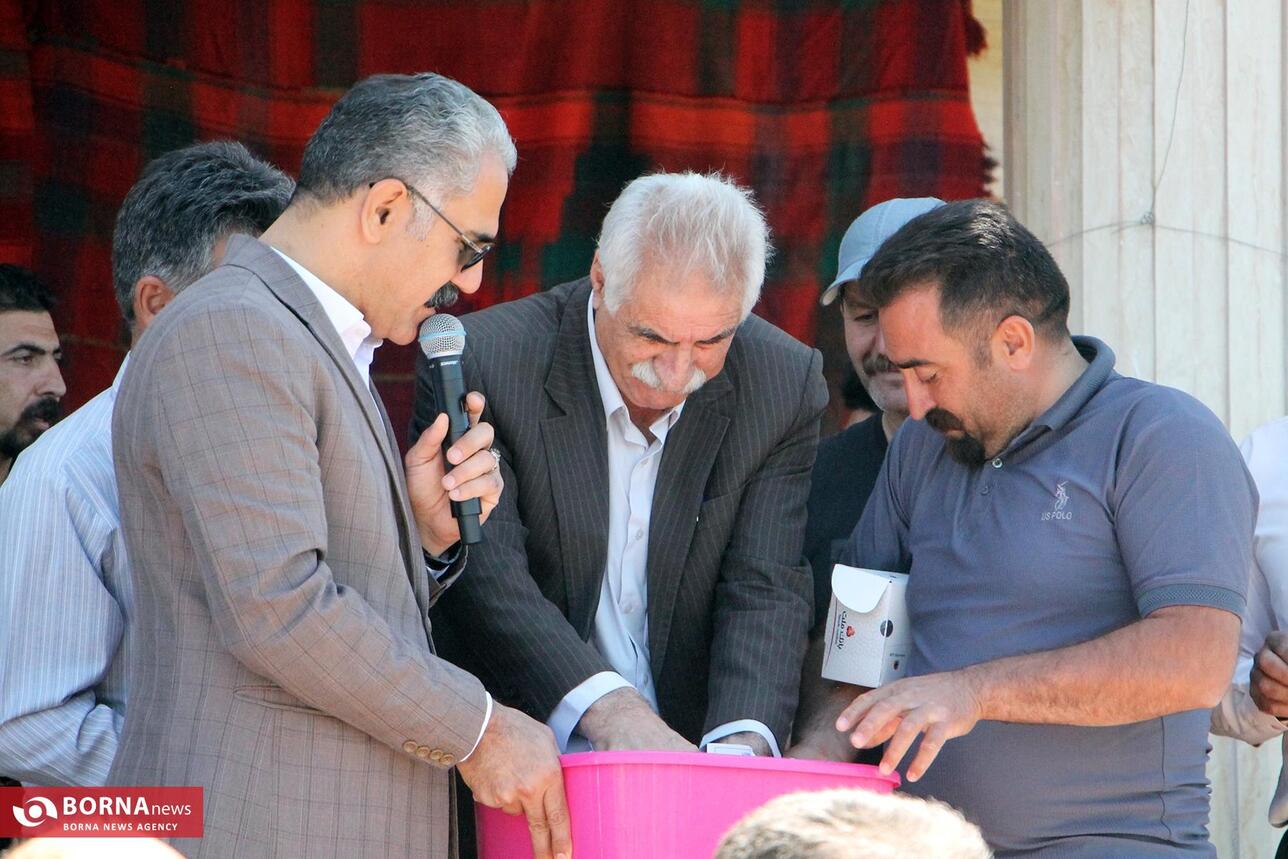 مراسم پیاده روی روستایی در کرمانشاه