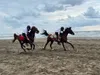 برگزاری آخرین اردوی آماده‌سازی تیم ملی تنت‌پکینگ پیش از اعزام به جام جهانی