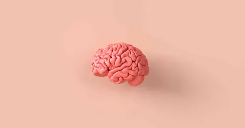 نقش مغز در پرخوری