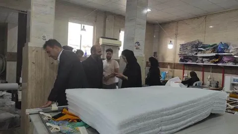 بازدید مدیرکل اشتغال و کارآفرینی بنیاد شهید و امور ایثارگران از روند فعالیت طرح‌های اشتغال‌زایی فرزندان جانبازان