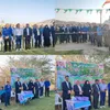 زمین چمن طبیعی فوتبال