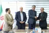 عباس واحدی سرپرست شرکت توسعه و نگهداری اماکن ورزشی کشور شد