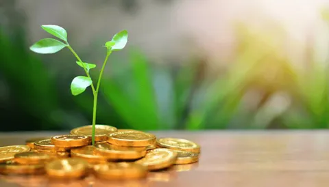 تصویب بیش از یک همت مصوبه برای ۹۰ شرکت دانش‌بنیان استان فارس