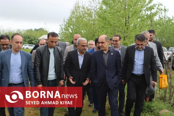 آیین برداشت چای بهاره