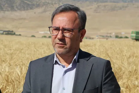 شناسایی ۵۵۸ مورد تغییر کاربری غیرمجاز  در لرستان