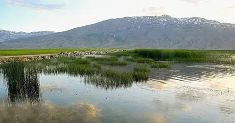 آیین‌نامه حفاظت از تالاب‌ها اصلاح شد/ سازوکار جدید برای تأمین آب و محاسبه خسارت
