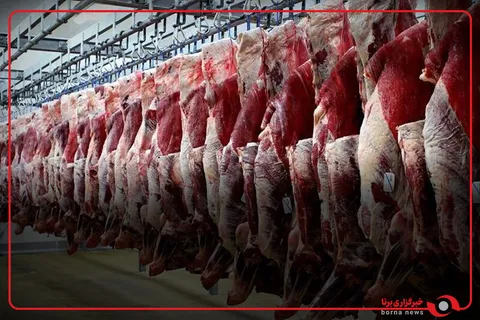 احتمال کاهش قیمت گوشت با افزایش واردات