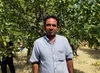 باغستان قزوین تشنه تدبیر است/ سطح آب‌های زیرزمینی به ۱۰۰ متر رسیده است