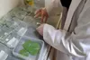 ثبت۶مقاله تخصصی از مرکز تحقیقات، آموزش و مشاوره فضای سبز منطقه ۱۱در کنگره های علمی